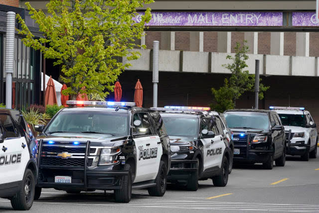 4 killed in shooting at hospital in US