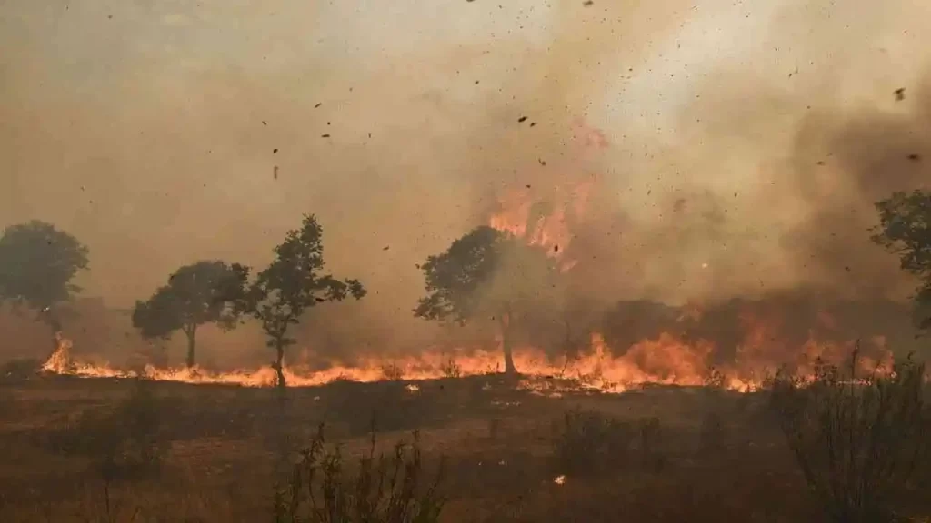 Over 500 die due to heat wave in Spain