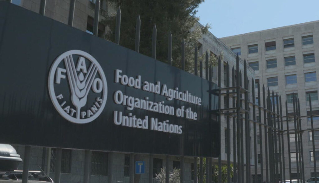 Global food commodity prices decline in July: FAO