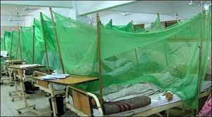 Dengue kills 27 in Pak as disease spread intensifies