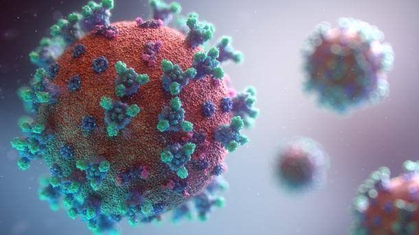 India reports 74 new covid cases in last 24 hours