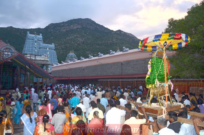 Tiruvannamalai deepam: 2500 devotees allowed to climb mountain