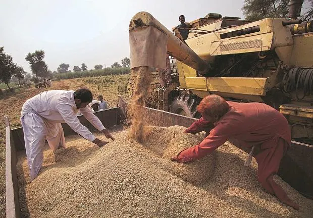 Wheat prices may come down by Rs 5-6/kg