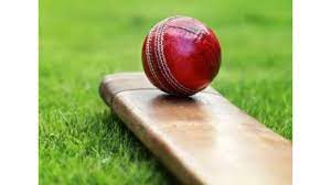 Qatar Cricket to host next season of Legends League Cricket Masters