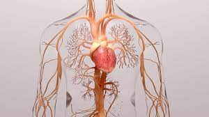 C-19 infection raises diabetes risk: Research