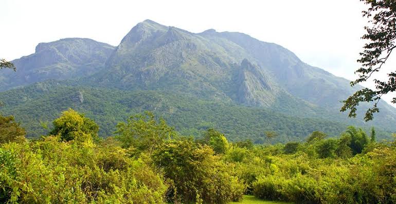 Female elephant found dead in Mudumalai forest area