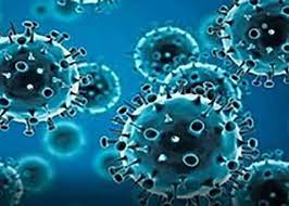 India reported 109 cases of COVID subvariant JN.1 till Tuesday
