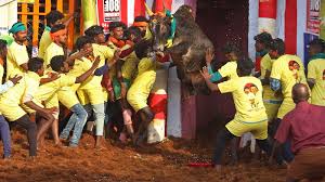 Udhayanidhi Stalin flags off Jallikattu in Madurai