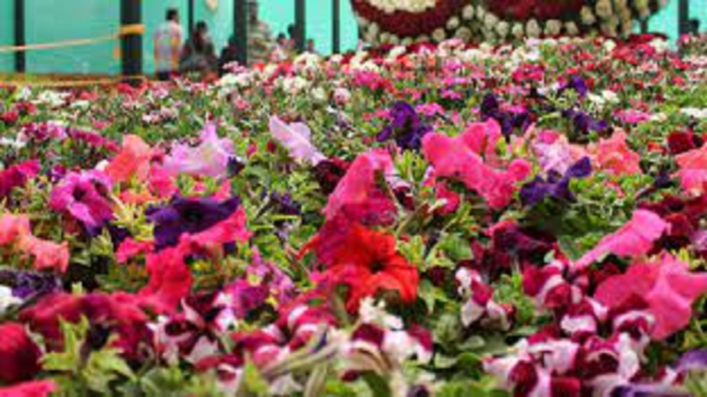 Semmozhi Poonga gears up for flower exhibition