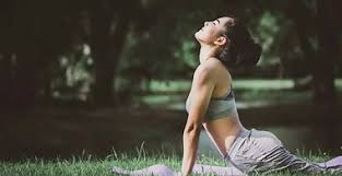 Consistency is the key when practising yoga : WHO