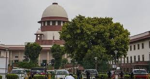 ‘Must stop’: SC censures lawyers for filing ‘bulky’ appeals