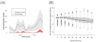 Climate Change Linked to Nearly 100,000 Deaths in 2023 Heatwaves