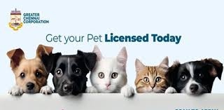 GCC issues licences for over 4,000 cats