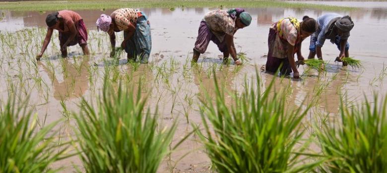 Farmers protest loan waiver plan, allege betrayal by TVK