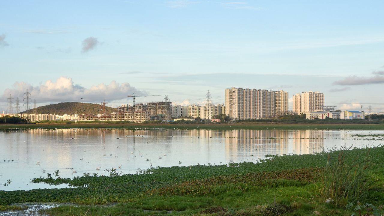 Chennai Housing Project Near Pallikaranai Marsh Loses Environmental Clearance 