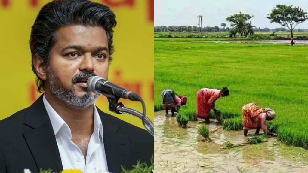 Rs 134.83 cr Kuruvai package to support farmers: CM