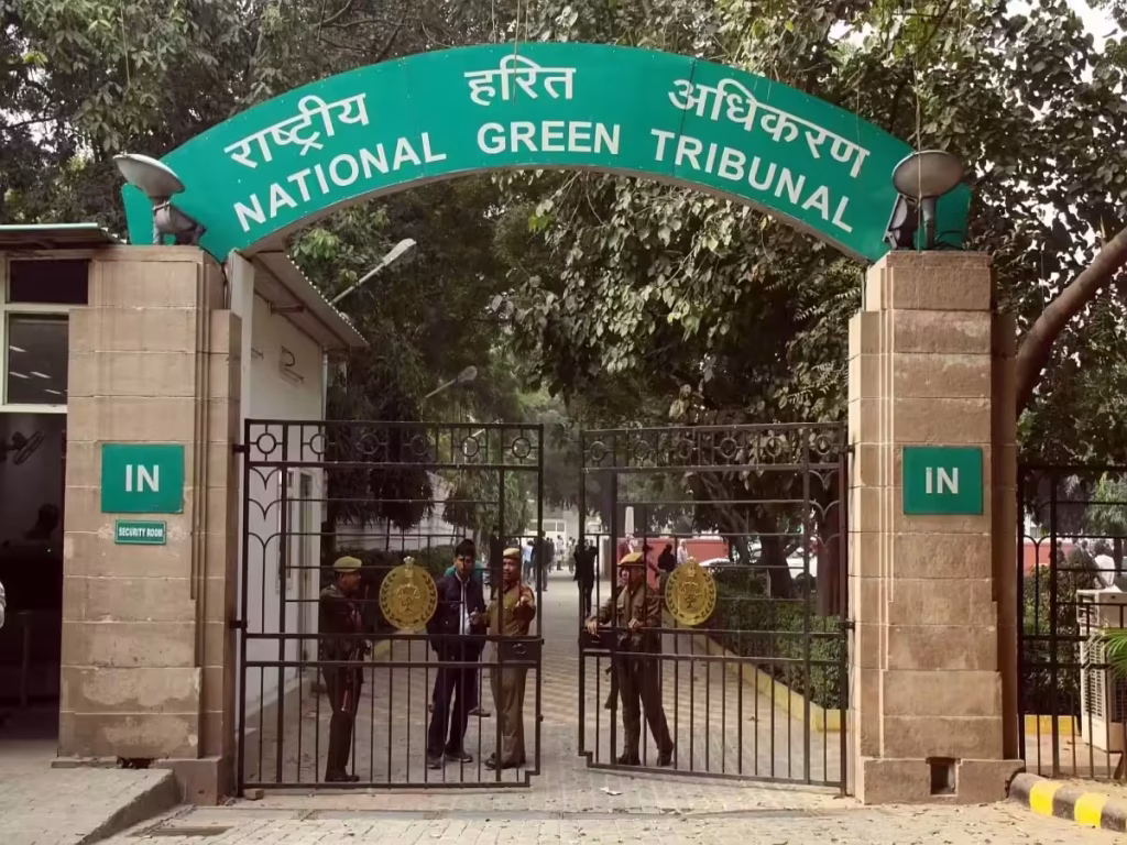 NGT questions delay in Velachery lake restoration