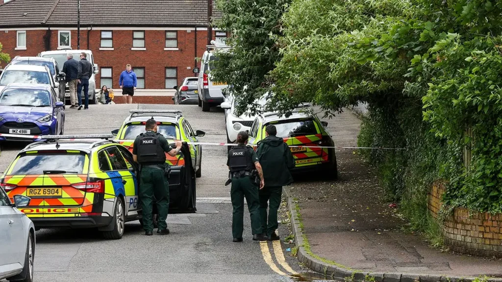 Police arrest Sudanese suspect in stabbing
