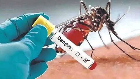 Dengue, Swine flu cases rise in TN