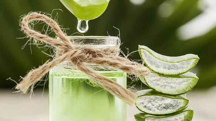 Aloe vera juice gains popularity along Chennai’s walking tracks