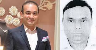Nirav Modi’s close aide brought to India from Egypt