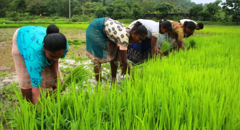 Agri programme to cover 1,997 villages: Stalin