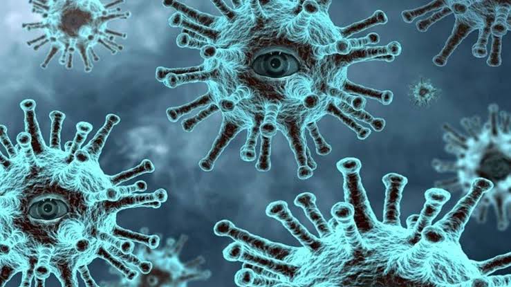 113 new Covid cases in TN