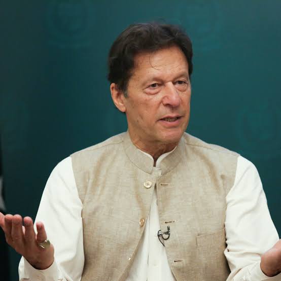 Is Imran reason for economic crisis in Pak?