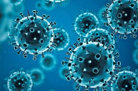 Shanghai plans more Covid testing amid fresh curbs