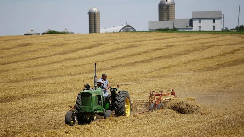 ‘India’s kharif rice production may fall by 10-12 mn tonne’