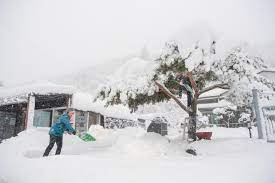 Over 100 traffic accidents amid heavy snowfall in S Korea