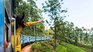 Sri Lankan tourism revenue sees significant increase in May