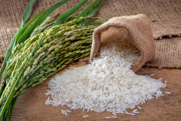 Rice shortage panic sweeps across US News Today First with the news