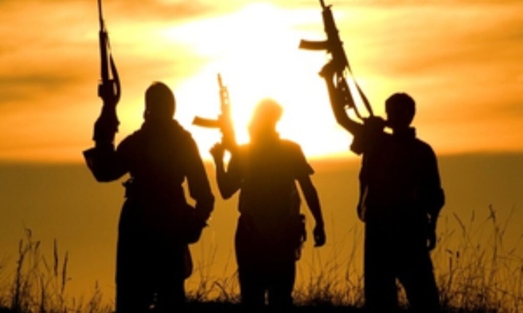 17 killed in two terrorist attacks in Mali