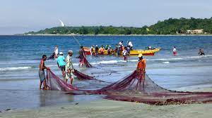 28 TN fishermen attacked, robbed mid-sea