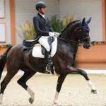 Hriday to represent India in dressage