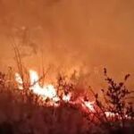Massive forest fire rages in Nainital
