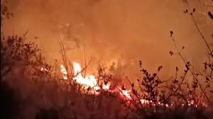 Massive forest fire rages in Nainital