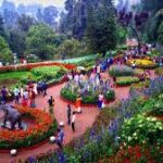 Ooty Flower Show extended due to surge in tourists