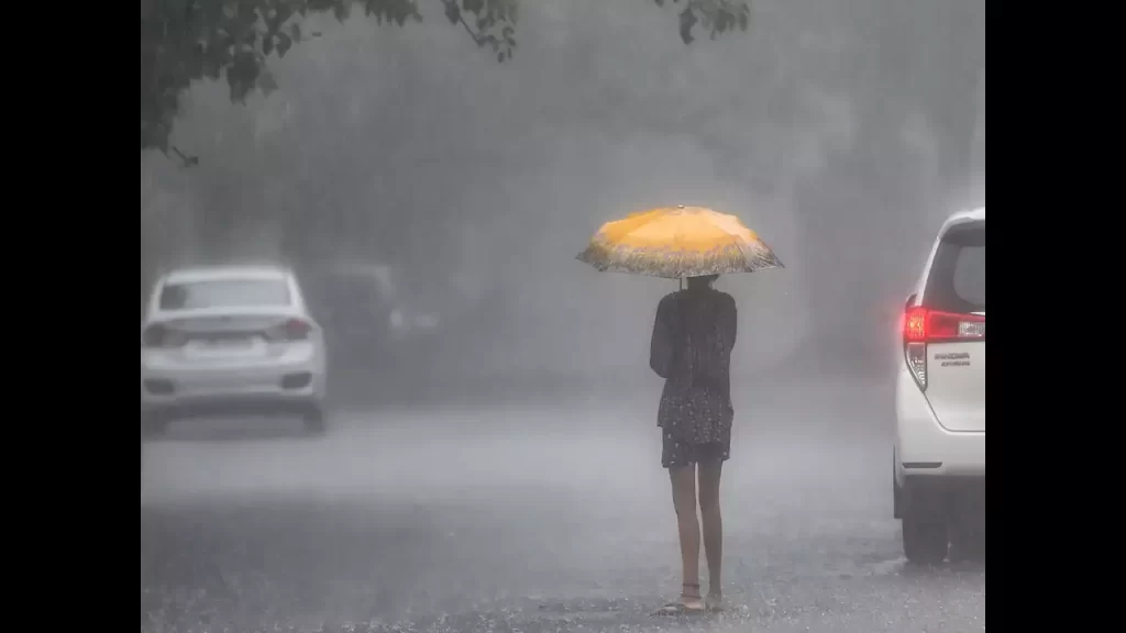 Heavy rainfall affects normal life in Nilgiris