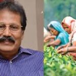 Krishnaswamy urges legal relief for Manjolai estate workers