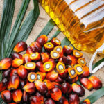 Debunking the Myth: Why Going Palm Oil-Free Doesn’t Work for Health