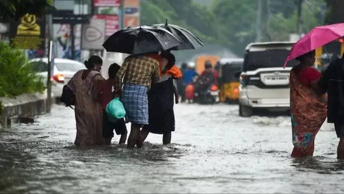 Stay Safe During the Rainy Season: Guidelines from TNEB