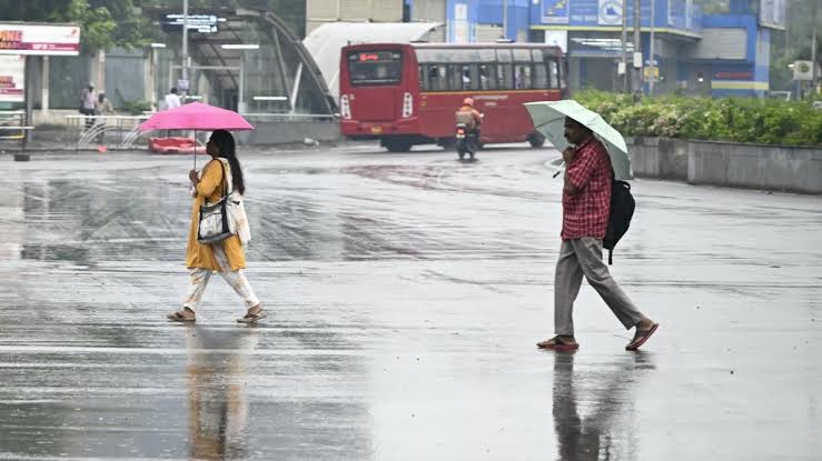 Above-average rainfall in TN expected this month