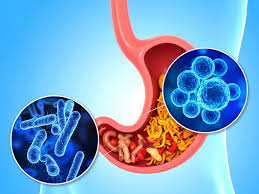 Healthier gut helps beat depression and anxiety: Study