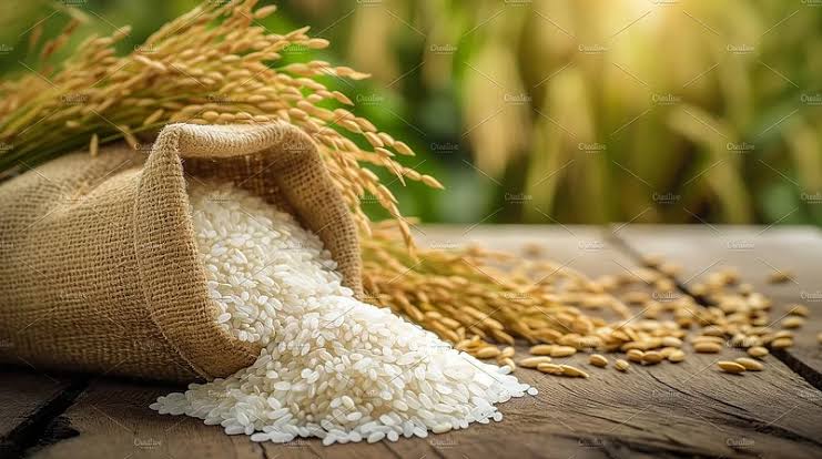 Iran crisis spells trouble for rice exporters