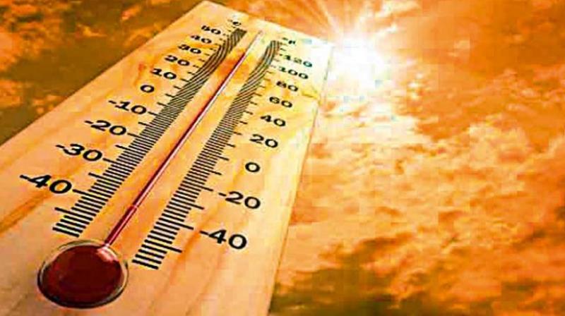 Tamil Nadu Reports Heatwave at 12 Locations, Authorities Warn of Rising Temperatures