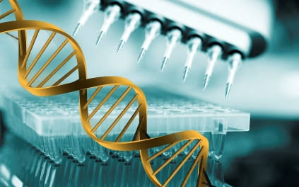 TN plans two more DNA Labs; HC reserves orders on plea