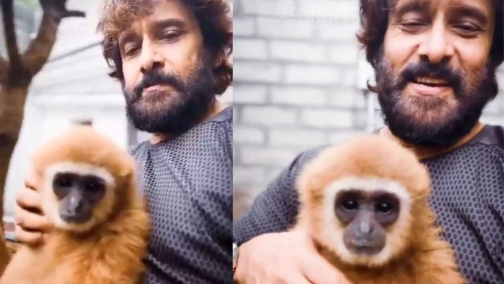 Forest dept serves notice on Vikram over gibbon