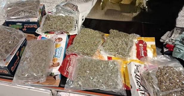 Woman held with Rs 14.5 cr hydroponic cannabis at Chennai airport